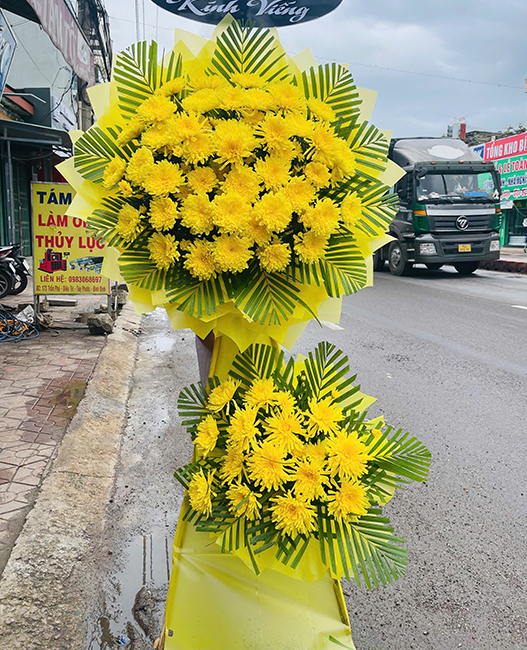Shop Hoa Tươi Xã Trà Giang – Giao Hoa Nhanh Trong Ngày